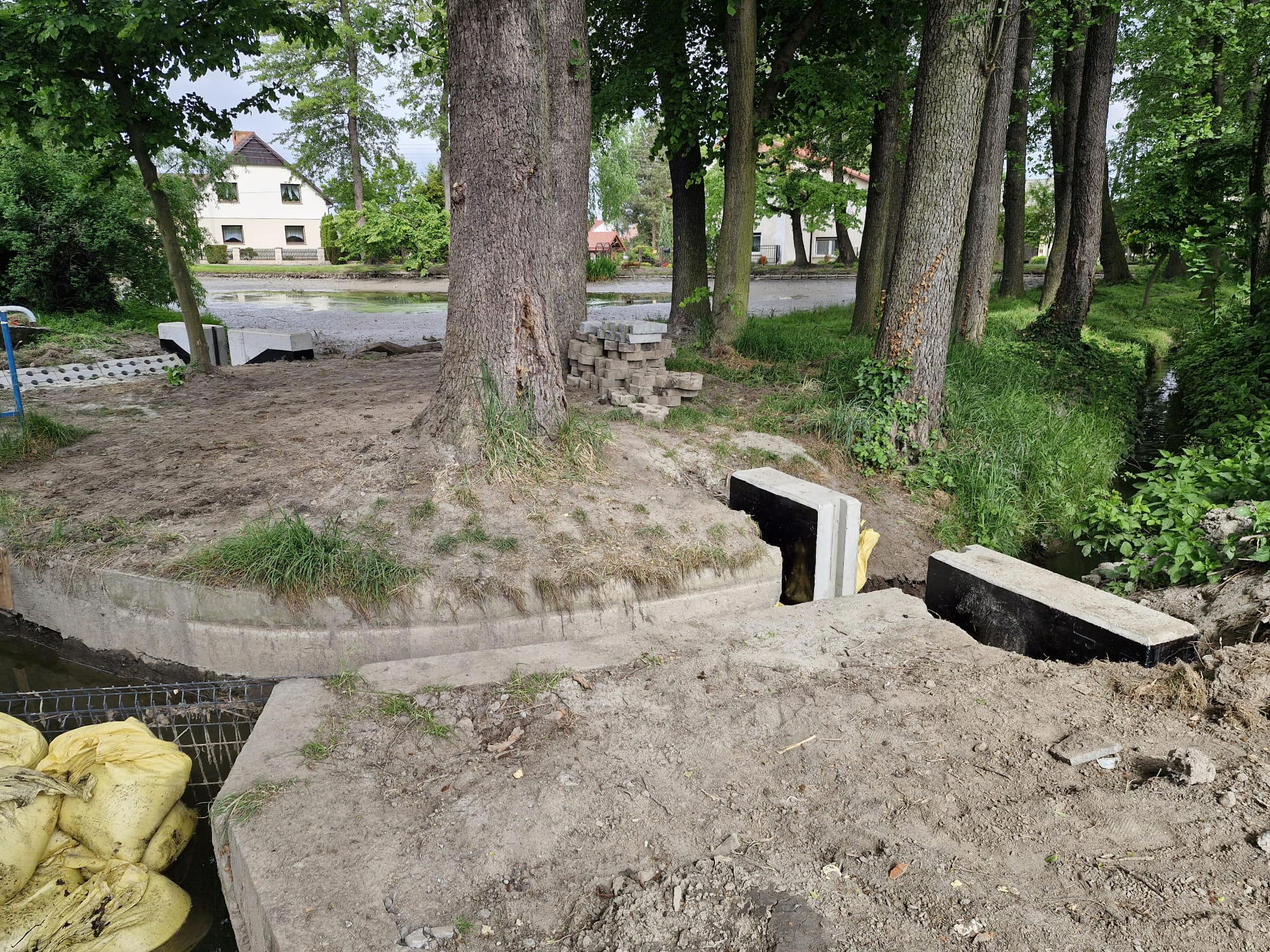 Staw Trzeciok, zdjęcie 5